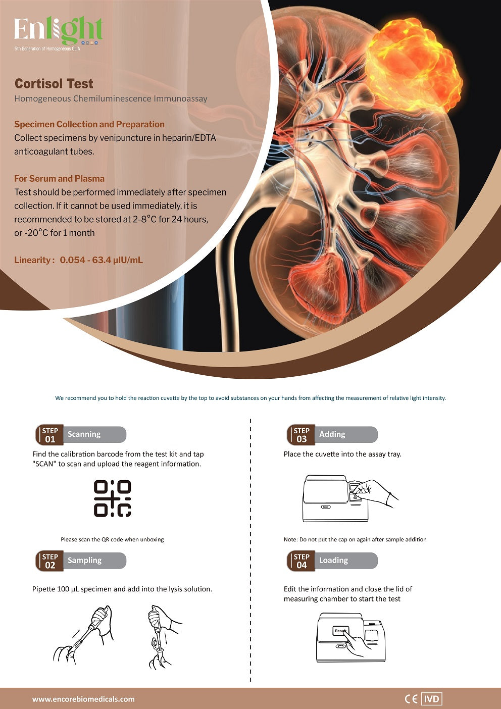 Cortisol