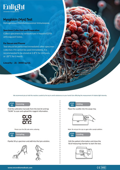 Myoglobin
