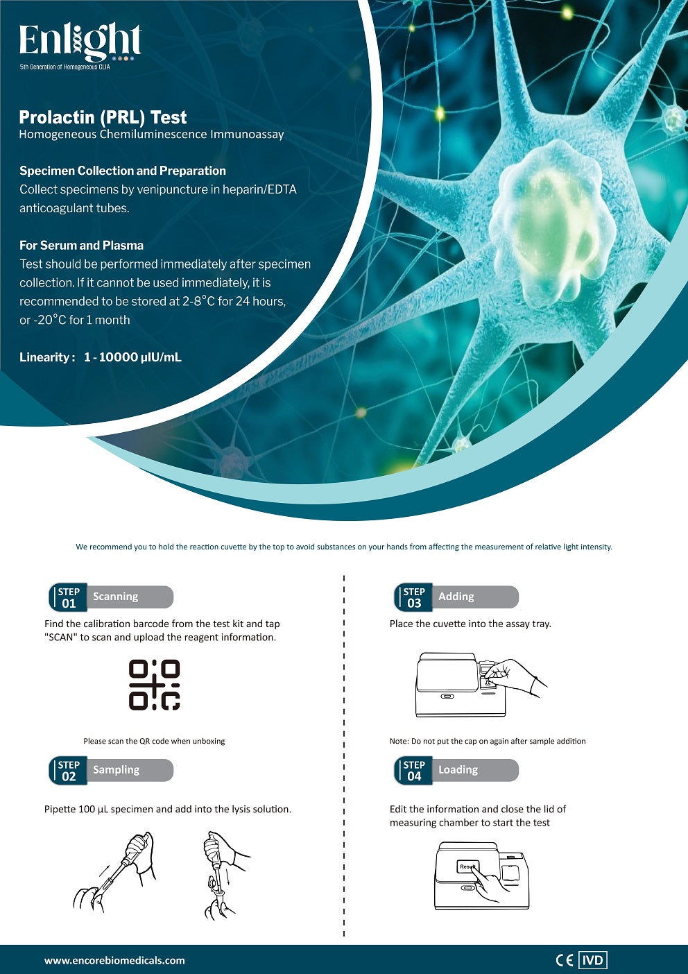 Prolactin (PRL)