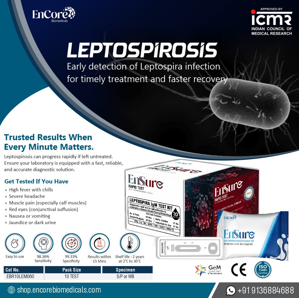 Leptospira IgM