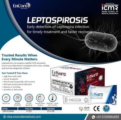 Leptospira IgM
